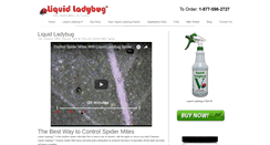 Desktop Screenshot of liquidladybug.com