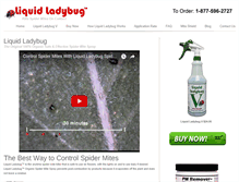 Tablet Screenshot of liquidladybug.com